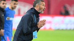 MM Stoica, "tamponat" în direct: "Vulpea când nu ajunge la struguri, spune că sunt acri"