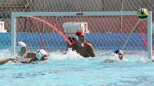 România - Turcia 13-10, în ultimul meci din preliminariile Ligii Mondiale