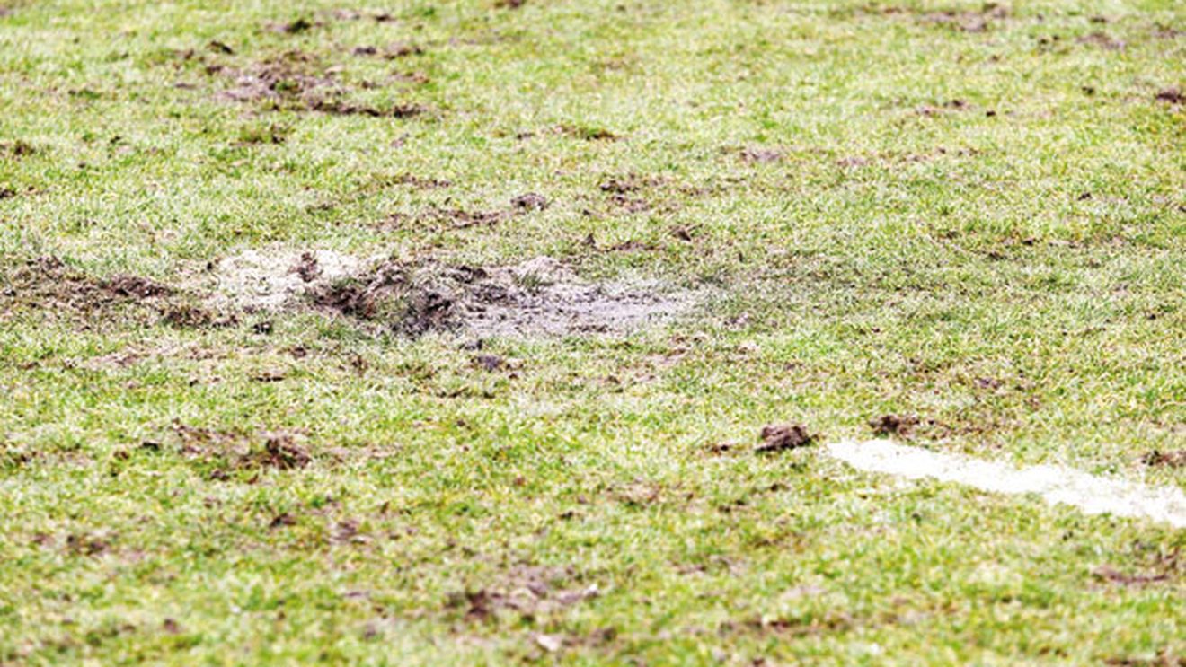 Ganea nu vrea rugby pe Cluj Arena!** Reacția antrenorului, după "U" Cluj - Steaua 8-19