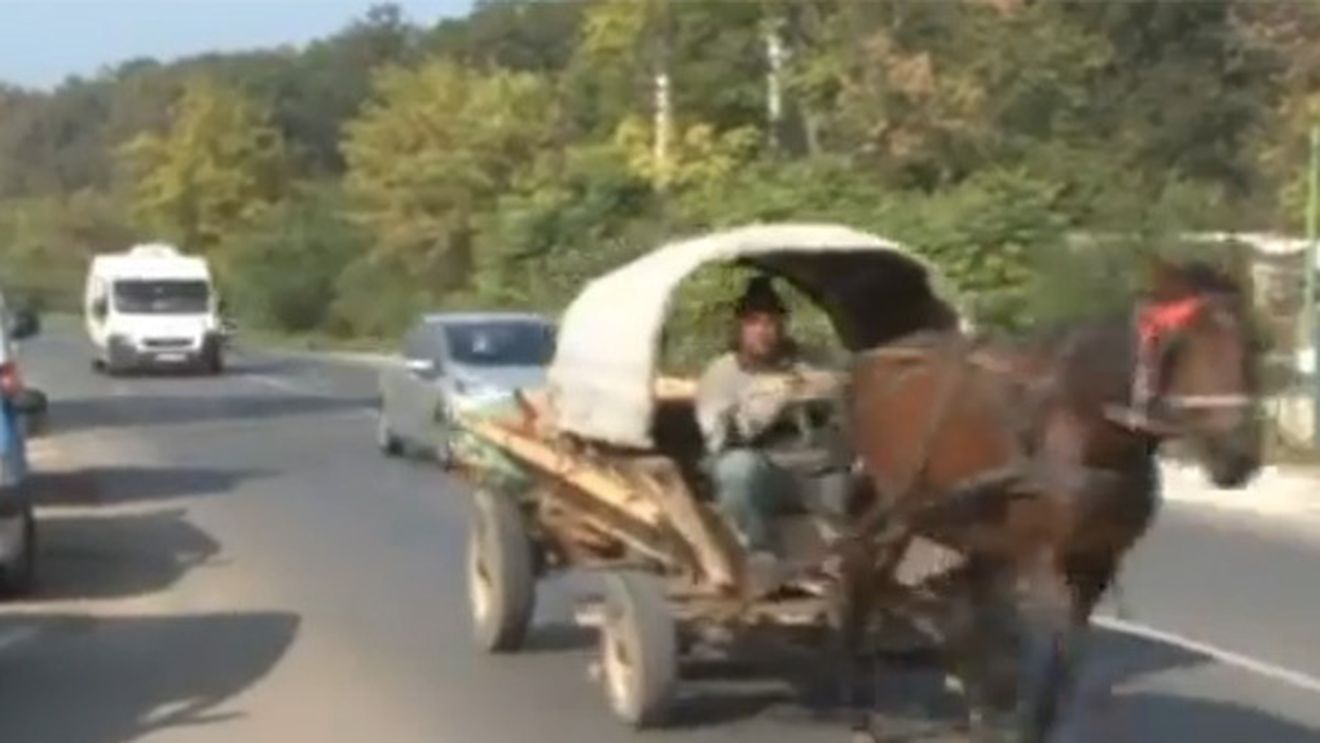 Olandezii nu renunță la răutățile specifice țărilor din Vest!** VIDEO Conferința de presă a "tricolorilor", precedată de imagini cu o căruță