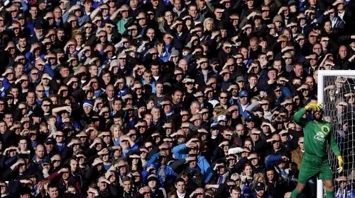 FOTO GENIAL! Cea mai tare poză a lunii vine de la meciul lui Chiricheș cu Everton! Ce nu se observă în mulțimea din imagine :))