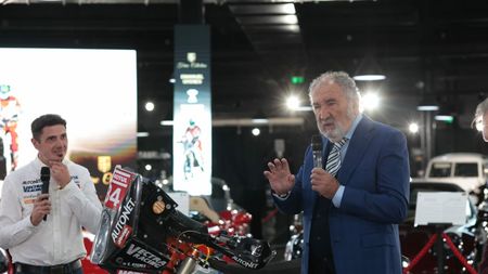 A ajuns piesa de 40.000 de euro în colecția lui Ion Țiriac