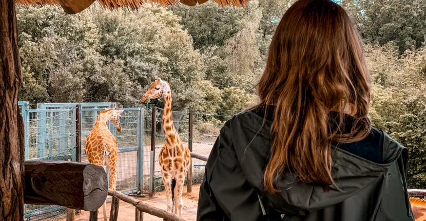 Bancul zilei. „Domnişoară, nu cumva ne-am văzut ieri la grădina zoologică?”