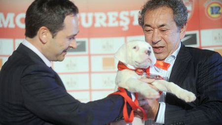 "Vreau să fim numărul 1 în România! Am o problemă cu bunul mers al Stelei"** Negoiță anunță 'momentul zero' la Dinamo. Ce zice de colaborarea cu Lucescu