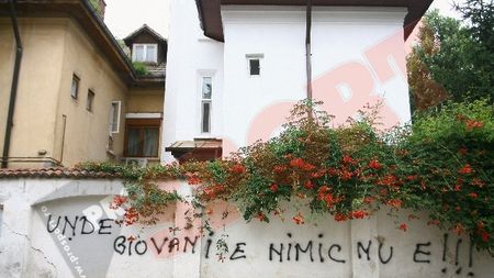 "Câinii" mușcă rău: "Unde Giovani e nimic nu e" VEZI TOATE MESAJELE FANILOR