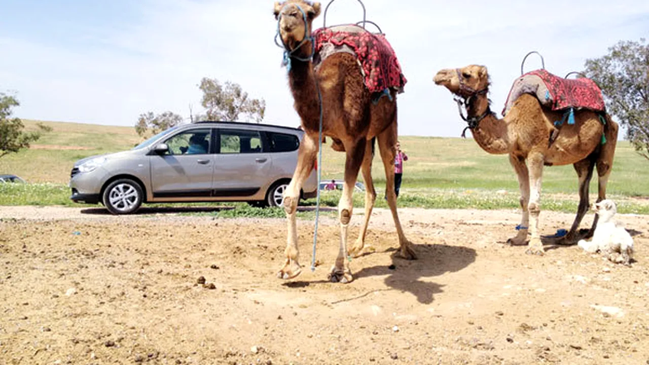 Maroc, țara unde s-a născut Lodgy!** Statul nord-african e unul al contrastelor, dar vrea să evolueze odată cu brandul Dacia