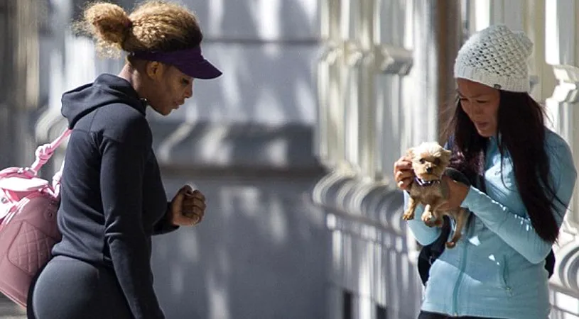 Serena Williams și Na Li și-au plimbat cățeii pe străzile Madridului