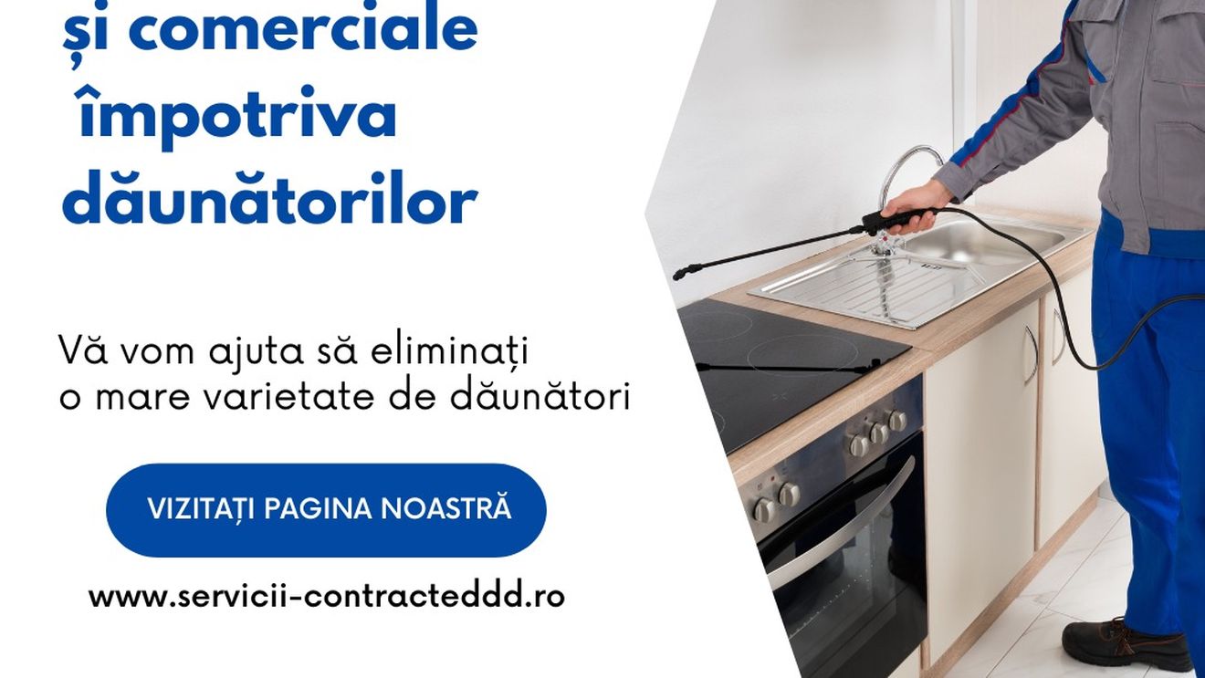 (P) Dezinsecția ploșnițelor cu abur: soluția modernă pentru locuințe sigure
