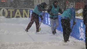 Cea mai dură reacție în urma situației de la Botoșani - Dinamo: "Suntem o ligă de proști. E ca în Siberia"