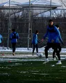 FC Voluntari mărește ritmul pe finalul lunii ianuarie. Florin Pîrvu a programat trei amicale într-o săptămână