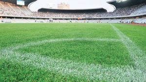 "U" Cluj a demarat petiția on-line! Fanii pun numele stadionului