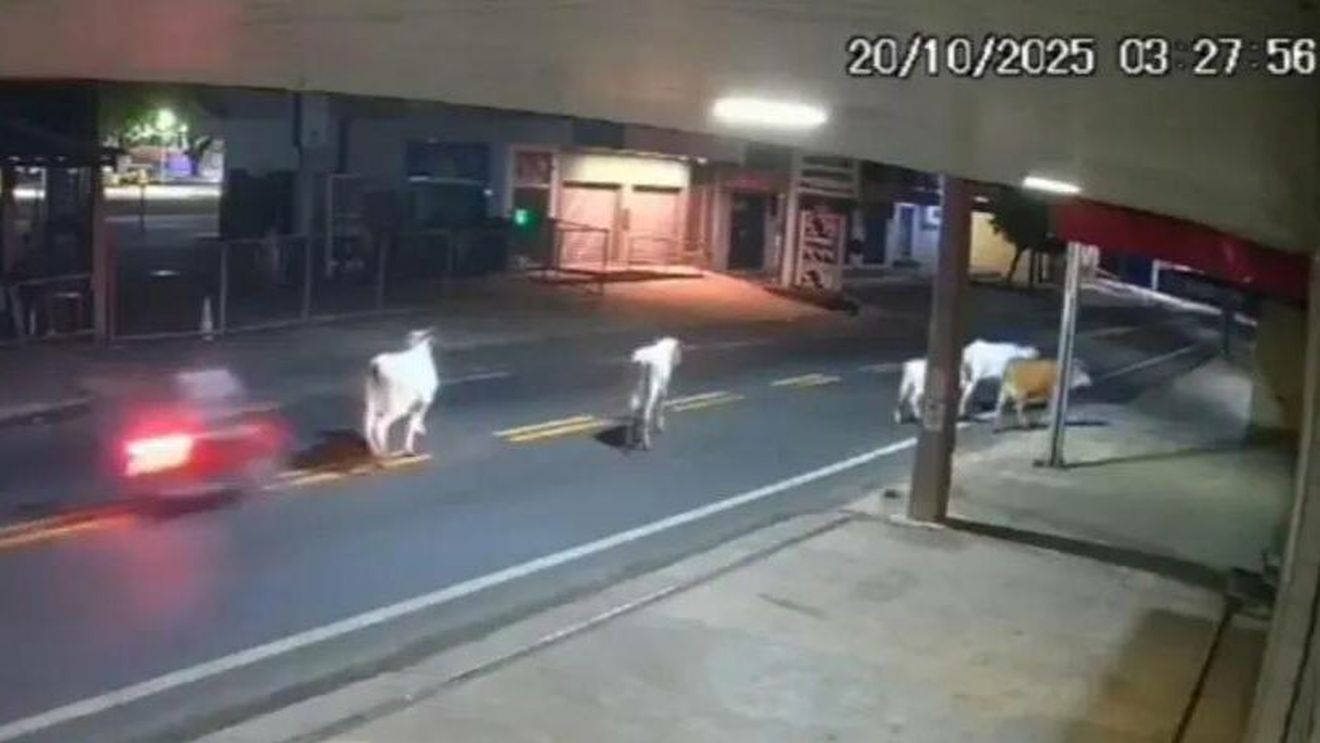 Imagini șocante! Un fotbalist de 20 de ani a murit, după ce a intrat cu motocicleta într-o vacă