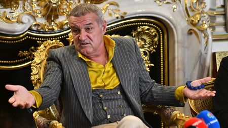 Gigi Becali a recunoscut cu cine a discutat înainte să-l pună pe Mirel Rădoi: „Am vorbit cu Pițurcă”
