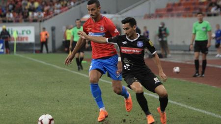 Firma care a câștigat licitația pentru a "repara" gazonul de pe Arena Națională, aceeași care a avut contract cu FCSB