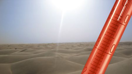 "Mirel Rădoi va avea probleme! Nu știu dacă se poate adapta la temperaturi de 40 de grade!" CE CREZI?