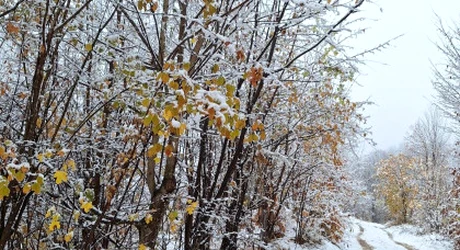 Lapoviţă, ninsori și strat nou de zăpadă în mai multe zone. ANM a actualizat prognoza meteo pentru următoarele 4 săptămâni