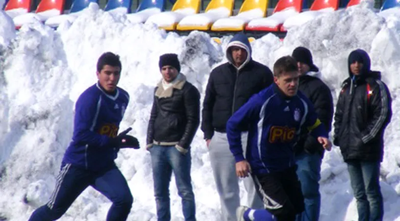 Argeșul** întâlnește câinii mici