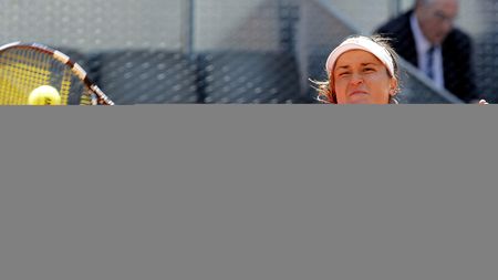 Perechea Dulgheru/Pennetta s-a calificat în finala de dublu, la Bastad