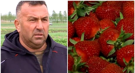 Cât a ajuns să coste o caserolă de 500 de grame de căpşune româneşti. Scumpirile se simt şi la cireşe sau caise