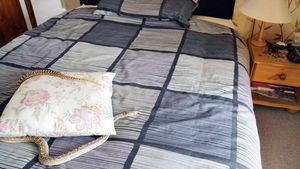 Șarpe în patul lui Rusescu!** Golgheterul a descoperit o reptilă în camera lui din hotelul de la stadion