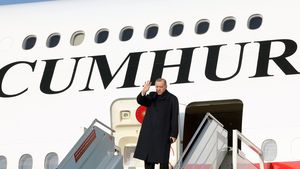 Românul care s-a întâlnit cu Recep Erdogan a rămas impresionat de forța preşedintelui Turciei: "A venit cu 4 avioane"