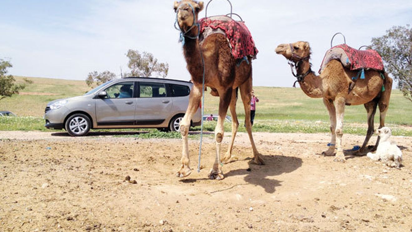Maroc, țara unde s-a născut Lodgy!** Statul nord-african e unul al contrastelor, dar vrea să evolueze odată cu brandul Dacia
