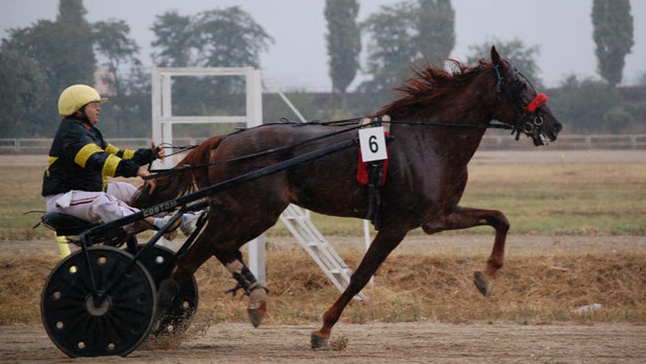 Unul dintre cele mai nobile sporturi revine în forță!** Derbi-ul lunii iulie va avea loc la Ploiești, în primul week-end al lunii septembrie