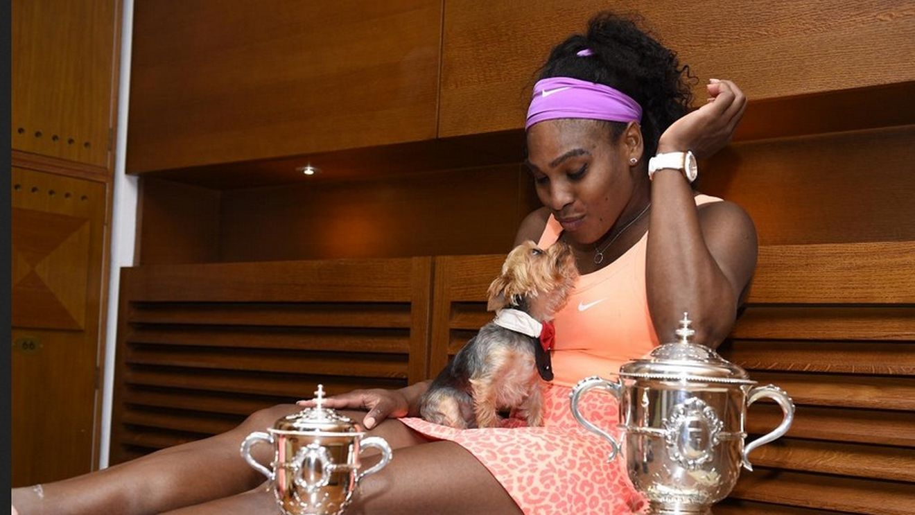 Dezvăluire incredibilă a Serenei Williams! Cum i-au fost furate mai multe trofee de Grand Slam: „S-a întâmplat la o petrecere"