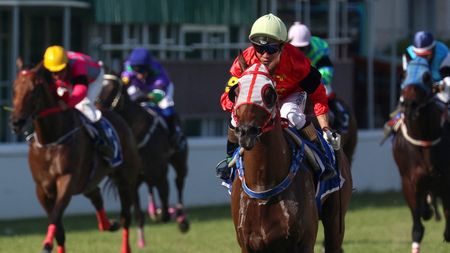 Moment terifiant în timpul unei curse de cai! Au fost cât pe ce să se izbească de ambulanță