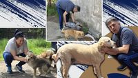 Haita lui Lupescu: reportaj la ferma din Snagov unde dinamovistul și soția hrănesc și îngrijesc zilnic peste 20 de câini. „Adoptați! Animalele nu-și aleg capul haitei un idiot”