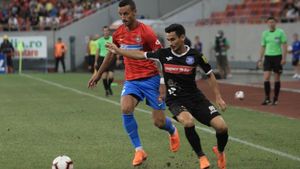 Firma care a câștigat licitația pentru a "repara" gazonul de pe Arena Națională, aceeași care a avut contract cu FCSB