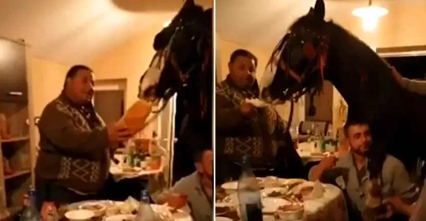 Imagini incredibile, surprinse în România. Un cal mănâncă la masă, în sufragerie, alături de stăpâni