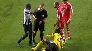 Ouch! :) Sissoko l-a pus la pământ pe arbitrul de la Newcastle - Southampton, după ce l-a lovit direct în față