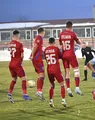 O nouă victorie contra Stelei, obligatorie pentru FC Voluntari pentru a mai spera la locul direct promovabil. Florin Pîrvu și Adam Nemec sunt optimiști