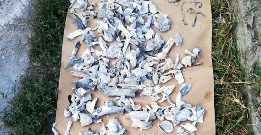 Cât a costat expertiza rămășițelor osoase găsite la Caracal