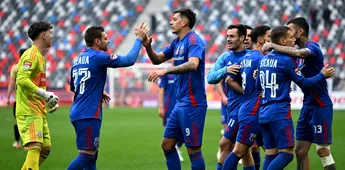 „FRF poate primi Steaua în Superliga din acest sezon”. Anunțul care agită România