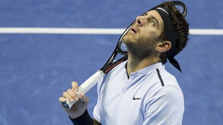 "Acum îi înțeleg!" Replica genială a lui Del Potro după ce s-a întâlnit cu un sportiv legendar