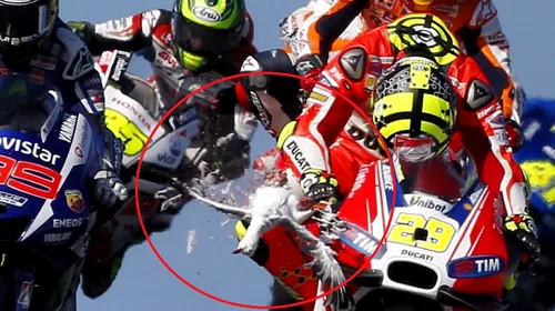 VIDEO | Andrea Iannone a spulberat cu capul un pescăruș în cursa MotoGP din Australia