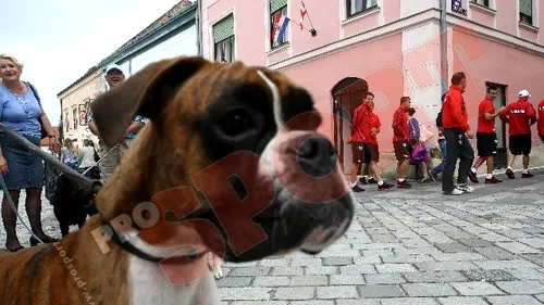 FOTO** Dinamoviștii, la plimbare prin Varazdin