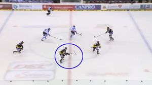 VIDEO memorabil! Faza lui 2014 în hochei 