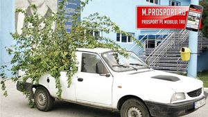 LPF a dat 'OK'-ul "Se poate juca pe Oblemenco"