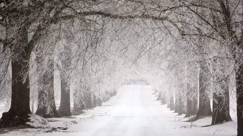 Prognoza meteo 4 decembrie 2019! Vremea continuă să fie rece. Când va ninge