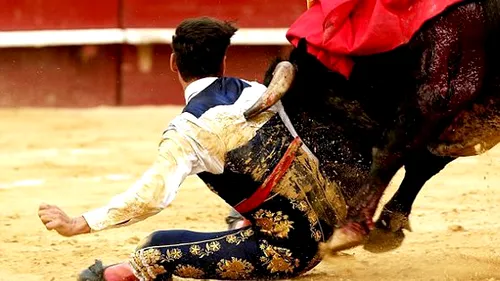 Imagini șocante cu un toreador din Spania. VIDEO | Momentul în care s-a pus în genunchi în fața taurului, iar lucrurile au luat o turnură dramatică