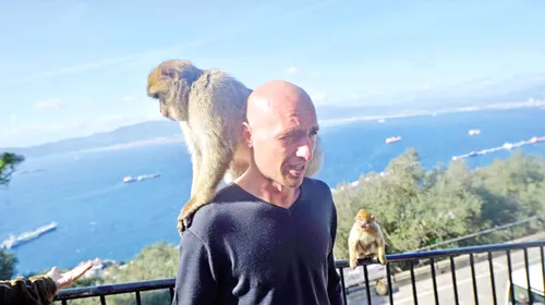 Planeta maimuțelor!** Fotbaliștii CFR-ului s-au distrat în Gibraltar cu macacii Barbary