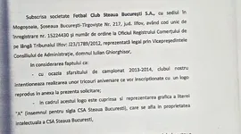Poza 1