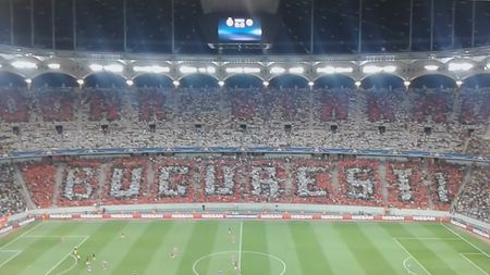 Coregrafia "Doar Dinamo București!", explicată de un sociolog devenit "ultras dinamovist": "Nici primul, nici ultimul Cal Troian"