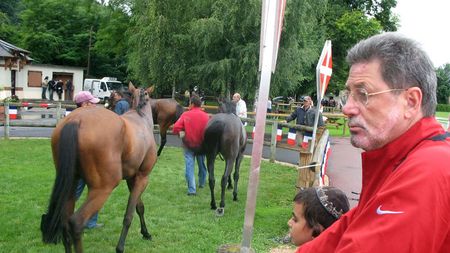 "Decisiv e raportul arbitrului...** Cine știe ce-o fi în el?!"