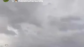 Poza 3