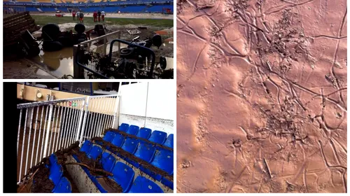 FOTO | Imagini apocaliptice de pe stadionul lui Montpellier. Gazonul a fost transformat în nămol, tribunele și vestiarele au fost inundate
