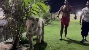 Cine e bărbatul care plimbă un leu în lesă